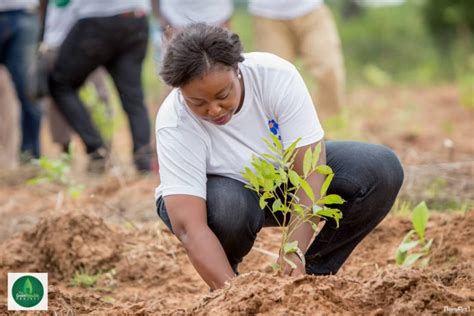 Image result for Tree-Planting Exercise