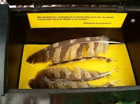 ZooLex Image - Interactive exhibit