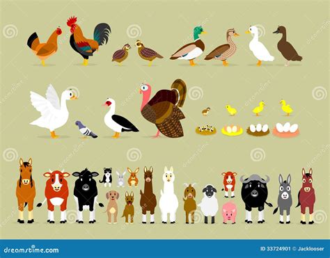 Cartoon Farm Characters (Part 2) Stock Vector - Illustration of side ...