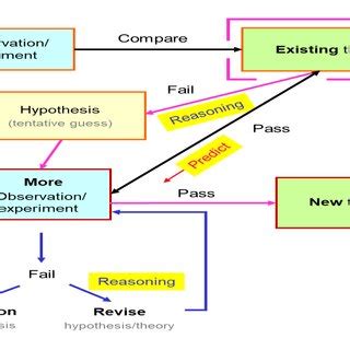 Image result for Scientific Flow Chart Example