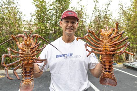 Conditions cooperate for Dive N' Surf Mobster Lobster - Easy Reader ...