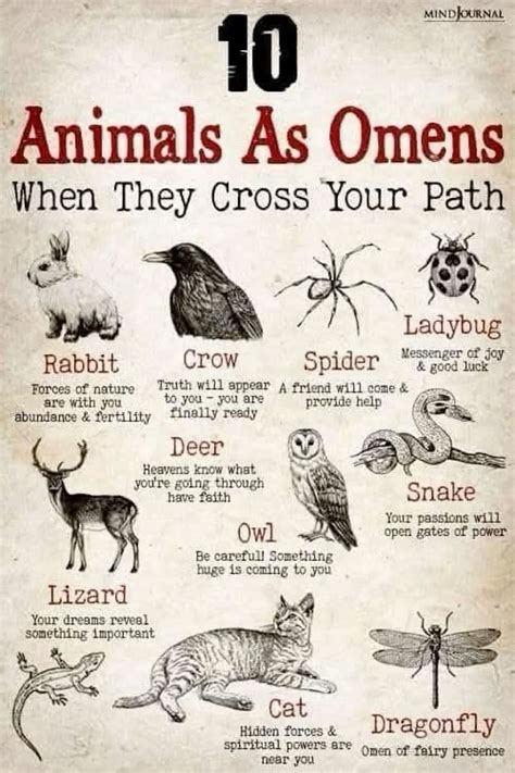 Best 13 Deer Symbolism & The Spiritual Meanings Of Seeing Deer – Artofit