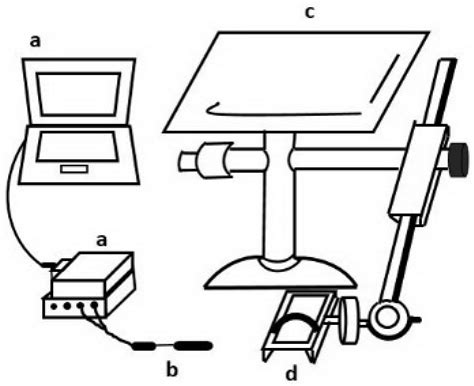 Effects of Plyometric and Balance Training on Neuromuscular Control of ...
