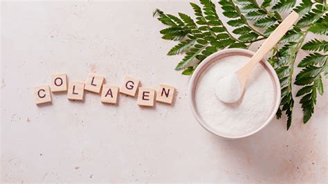 Marine Collagen Types Explained: Type I, II & III – Zyog Nutrition