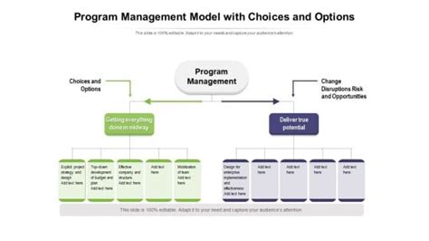 Image result for Program Management Model