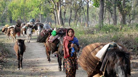 Welcome To Society of Promotion of Himalayan Indigenous Activities ...