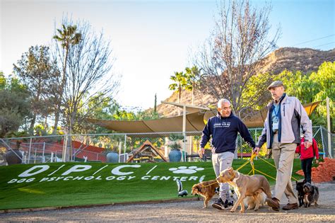 Cesar Milan – Macintosh Kennels| Breeders, Exhibitors, Trainers ...