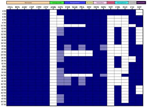 Characterization of Oxacillin-Resistant and Oxacillin-Susceptible mecA ...
