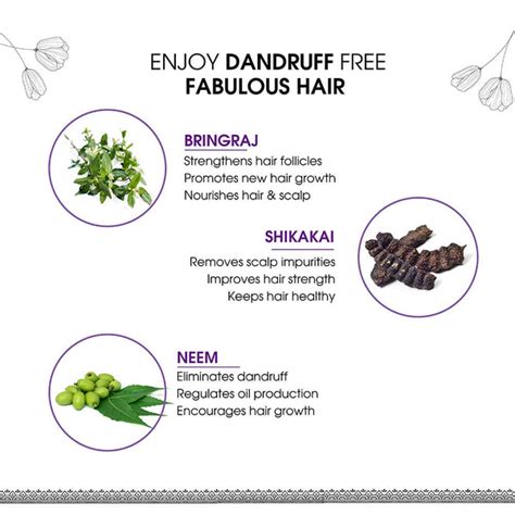 Buy Healthy Hair Shampoo With Bhringraj and Shikakai to Soft & Shiny ...