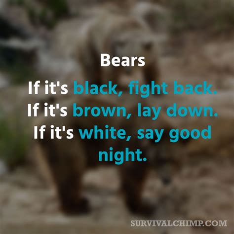 Bear Safety Rhyme - Online Safety Practices