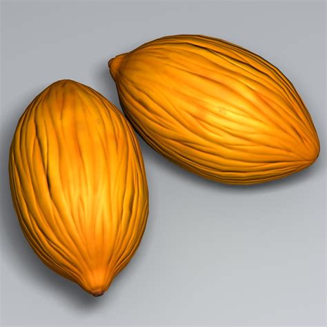 Canary Melon 3D Model $9 - .fbx .obj .max - Free3D