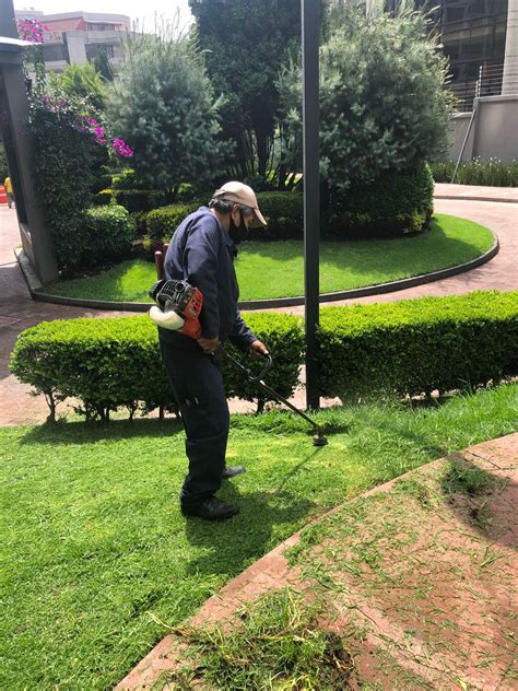 Image result for Infinity Clean