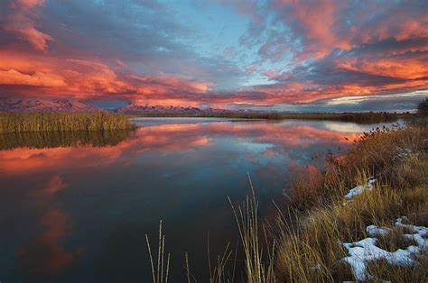 food photography tips at night
