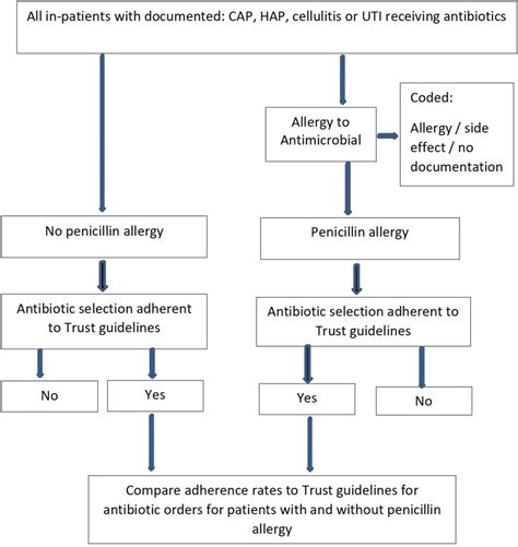 Pneumonia Algorithm 的图像结果