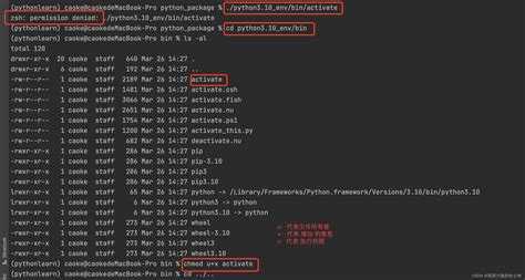关于zsh: permission denied 问题[已解决]-CSDN博客