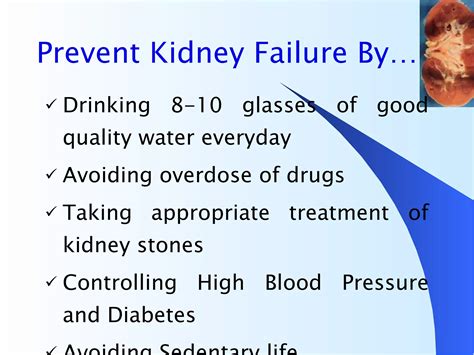 Image result for Kidney Tutorial