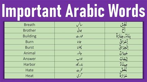 Important Arabic Words You Need to Know | Arabic Vocabulary - YouTube