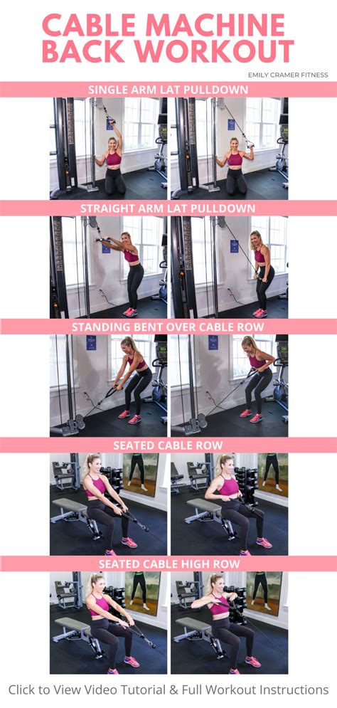 Image result for Back Training Machine