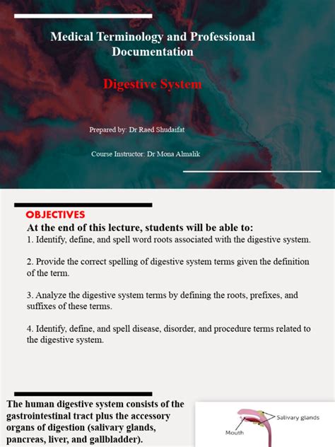 Image result for Digestive System Lecture