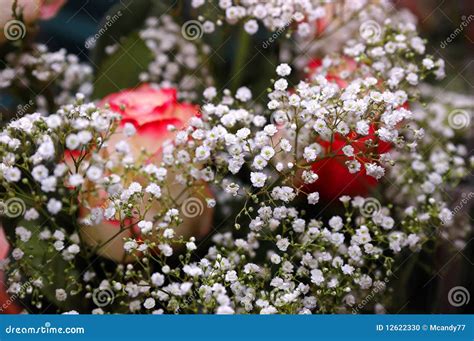 Combining Little White Flowers With Roses for Stunning Floral Arrangements