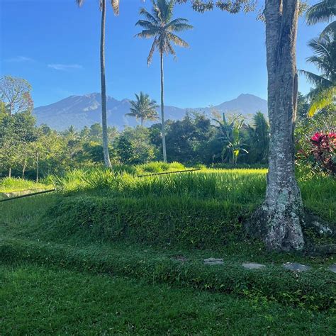 HAKIKI INN BUNGALOWS (Tetebatu) - Hotel Reviews, Photos, Rate ...