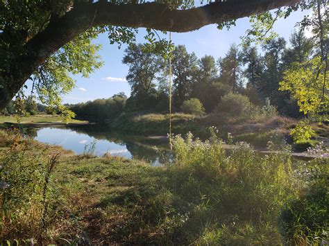 Lower Falls Campground in Gifford Pinchot National Forest, Washington ...
