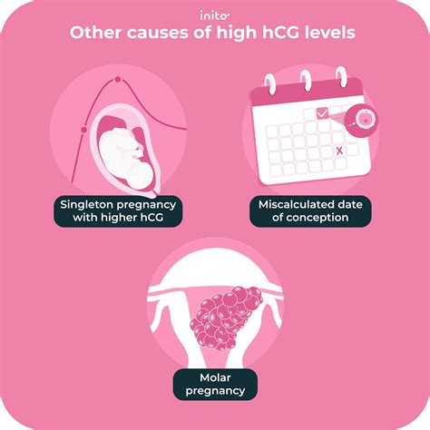 HCG Levels Twins: Key Indicators for Twin Pregnancy