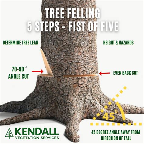 Image result for Reverse Angle Tree Felling Cut