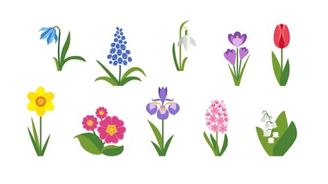 Conjunto plano de flores de primavera. | Vetor Premium
