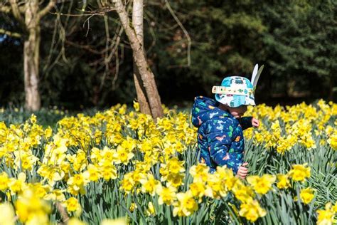 Easter Egg Hunt at Kedleston Hall, Kedleston Hall, DE22 5JH Derby ...