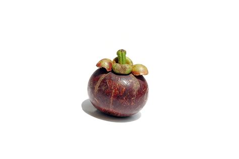 Can Dogs Eat Mangosteen Fruit