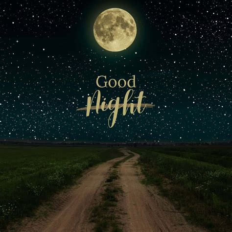 Download Good Night Pictures | Wallpapers.com