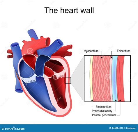 Layers Of Heart