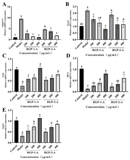Structural Characteristics of Rehmannia glutinosa Polysaccharides ...