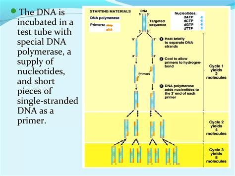 Image result for Gene Decoding