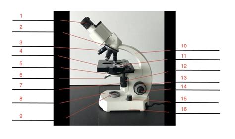 Image result for Light Switch Microscope Function