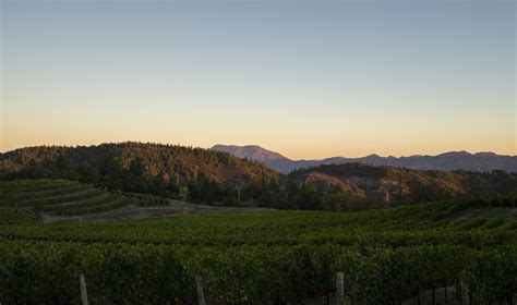 Pride Mountain Vineyards Cabernet Sauvignon 2019 - Nicholas Wines