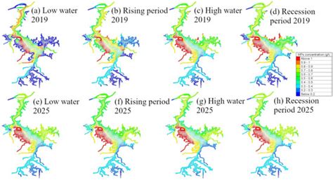 Impact of Water Level Fluctuation on Microplastic Transportation and ...