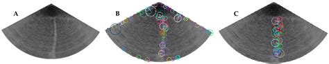 Bubble Plume Target Detection Method of Multibeam Water Column Images ...