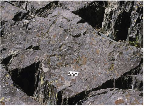 Late Pleistocene and Early Holocene Rock Art from the Mongolian Altai ...