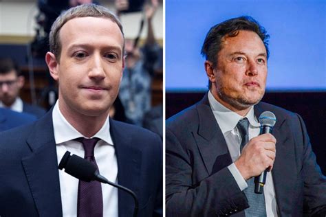 La pelea de Elon Musk y Mark Zuckerberg se retransmitirá en directo en ...