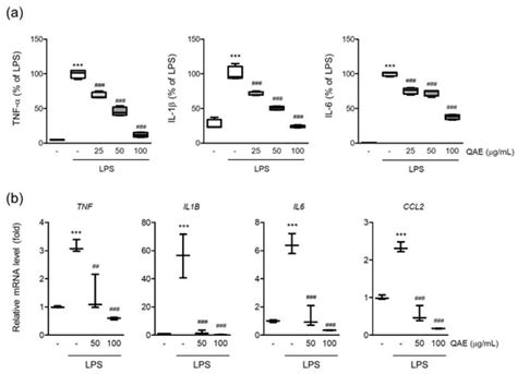 Quercus acuta Thunb. Suppresses LPS-Induced Neuroinflammation in BV2 ...