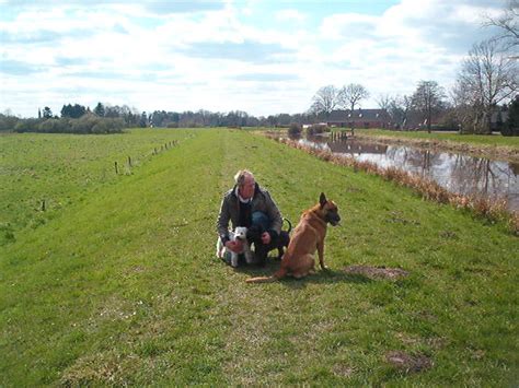 Zwergschnauzer Welpen weiß in Apen | Tiere | Kleinanzeigen