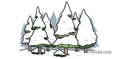 10 Amazing KS2 Snow Activities to Excite Children this Winter