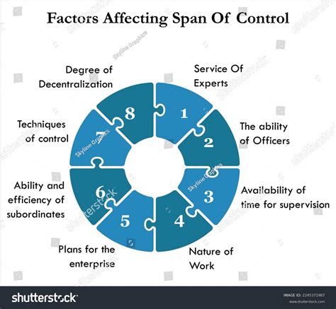 Eight Factors Affecting Span Control Infographic Stock Vector (Royalty ...