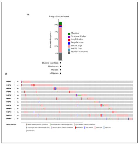 Penetrating Exploration of Prognostic Correlations of the FKBP Gene ...