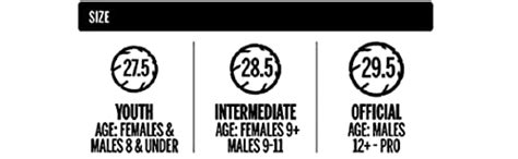 Wilson Autograph Mini Basketball