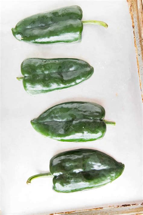 Poblano Peppers - Beloved Mexican Pepper (All About Them) - Chili ...