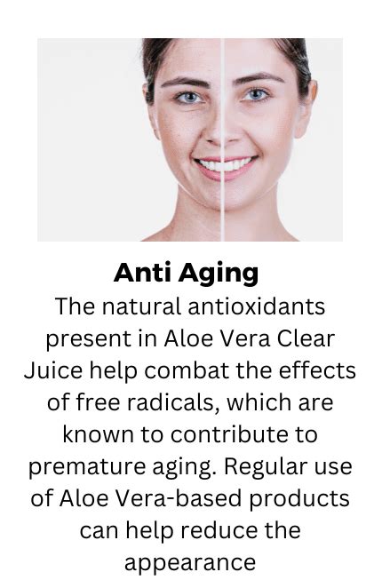 Pure Aloe Vera Juice with 92% Distillate - Direct from Rajasthan ...