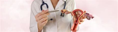 Endometriosis, Ovarian Cysts & Heavy Periods: Your Complete Guide ...